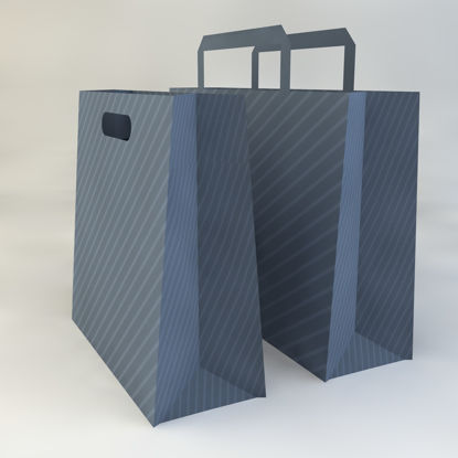 Bag 3D model