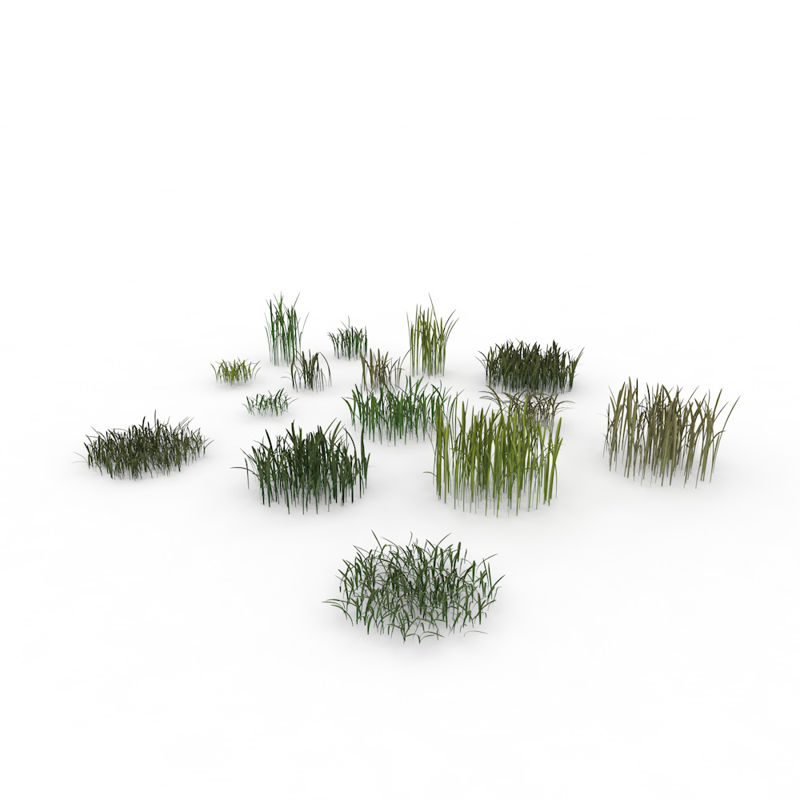 Faisceau d'herbe comprenant 13 modèles 3D différents modèles