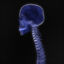X-Ray 3D model material