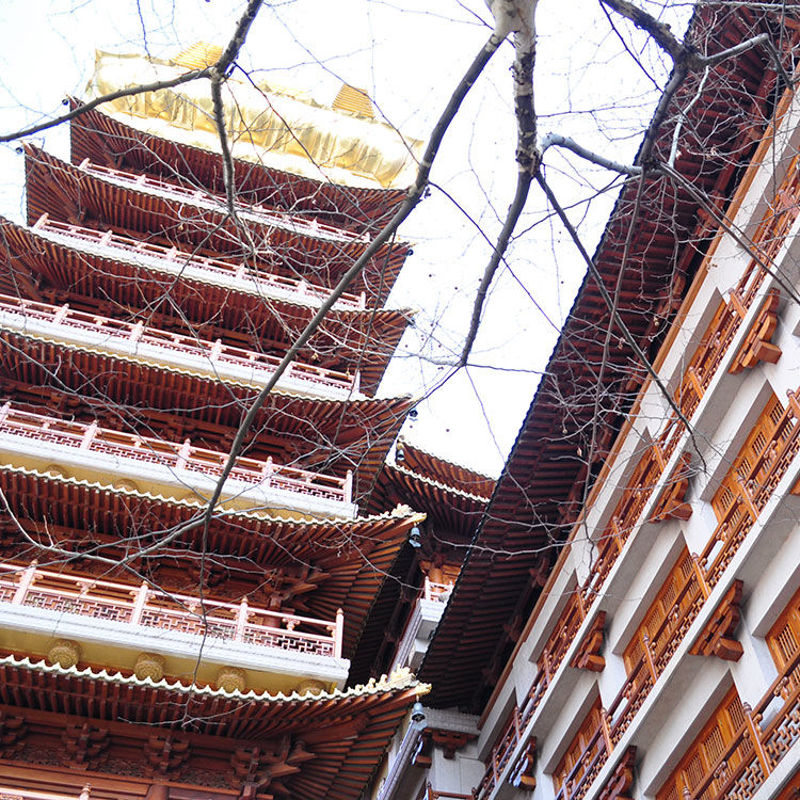 Jingan Temple with Tree