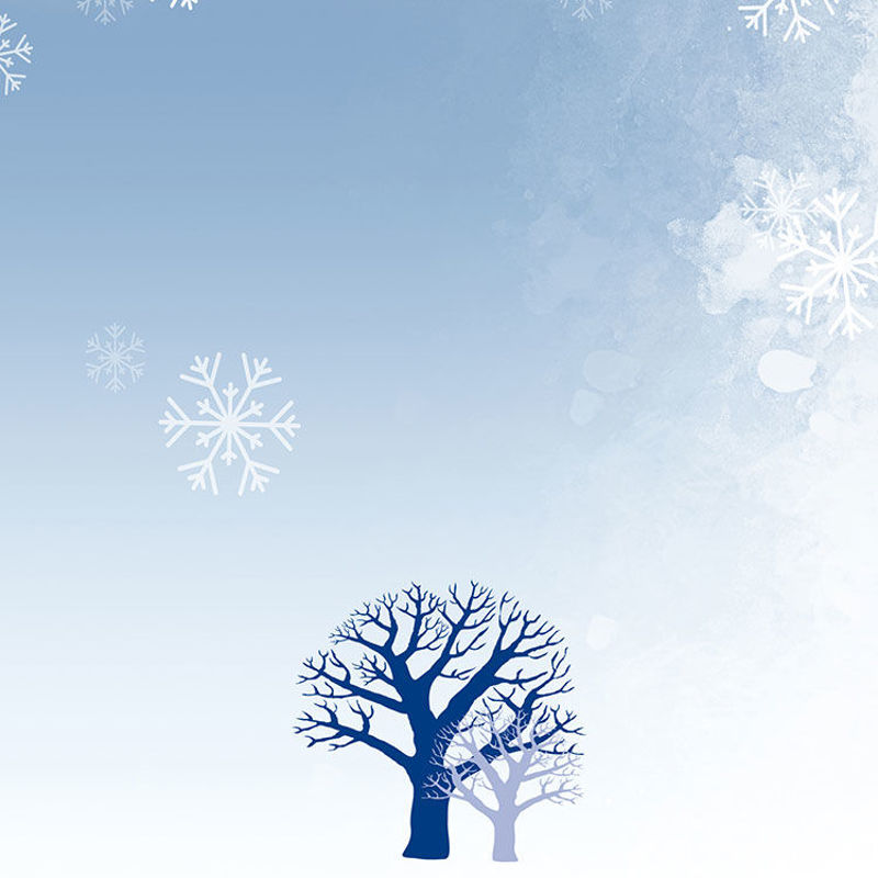Winter Snow Trees Poster