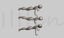 Push up Bodybuilding bip 3ds Max Motion Capture