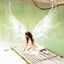Water Wings PS Brushes