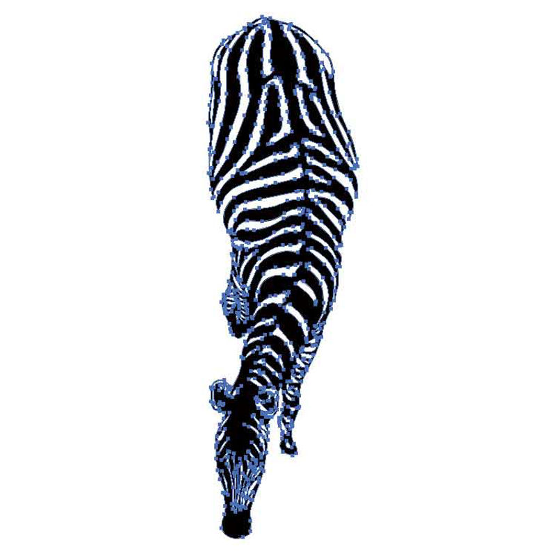 Vektor Zebra AI