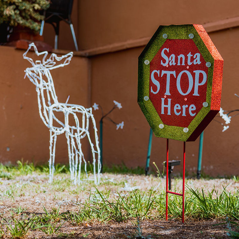 Christmas santa sign elk shape neon lights photo