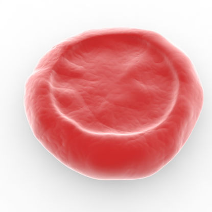 Erythrocyte Red Blood Cell Corpuscle 3d Model