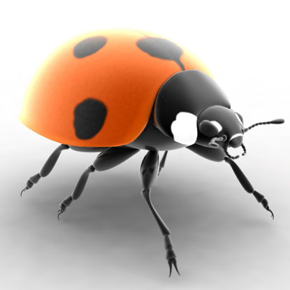 Ladybird 3d model