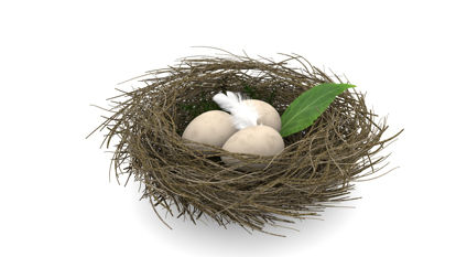 Bird nest 3d model