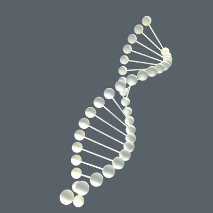 Modèle 3D d'ADN
