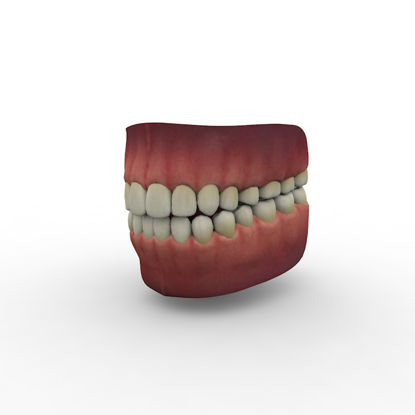 Teeth 3d model