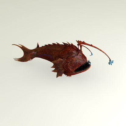 Anglerfish 3d modeli