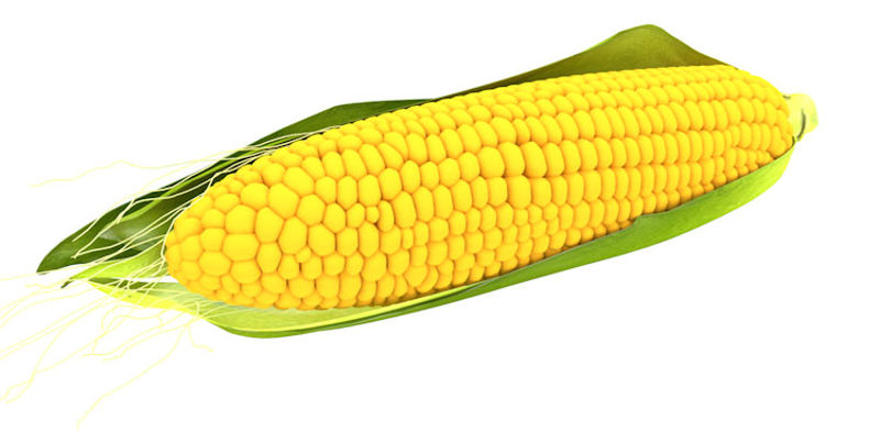 Maïs avec feuille modèle 3D