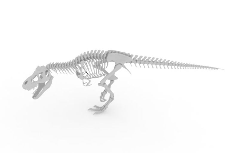 Modello Tyrannosaurus Rex Dragon Bone 3d