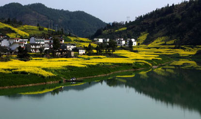 Flores del col Canola cerca del lago Rural China Reflexión del barco de la colina