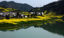 Cole flowers Canola Near Lake Rural China Hill Boat Reflection