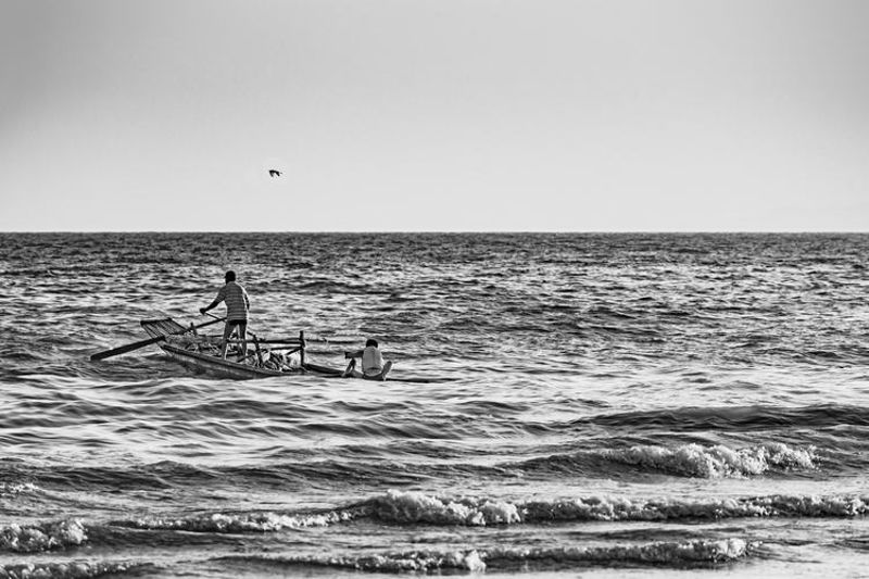 Fisherman Fishing