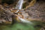 Spring Rock