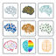 Brain AI vector