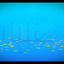 Konfetti-Teile-Animationslogo