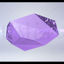 Butterfly Flight Logo Animation Show