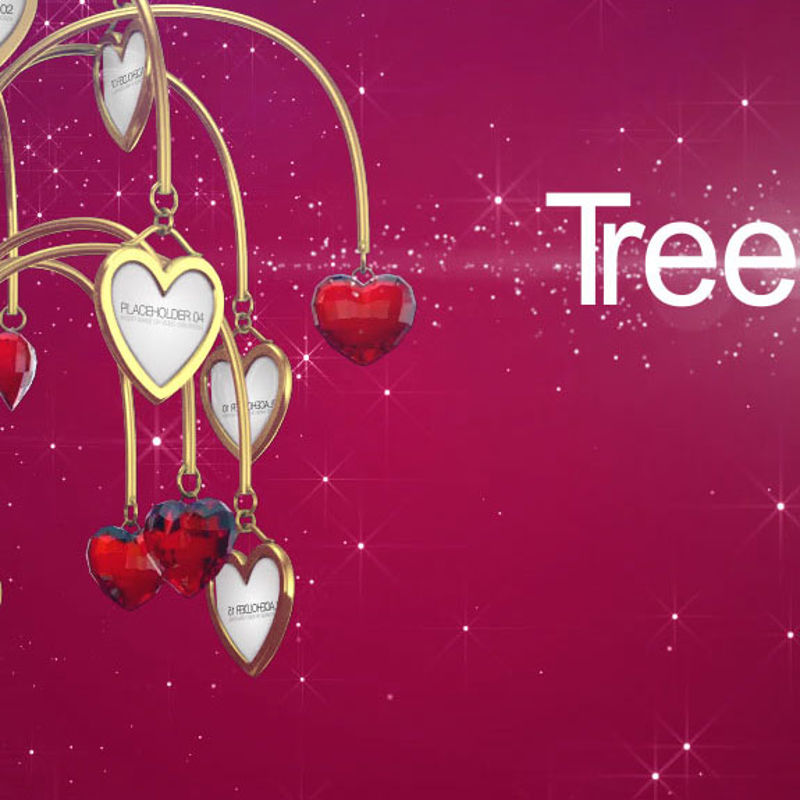 Tree bracket love album display