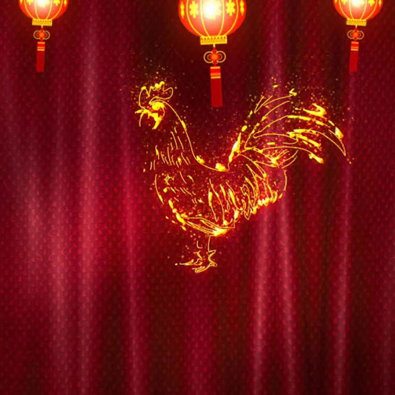 Year of the Rooster New Year