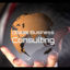 Handheld video business promotion titles