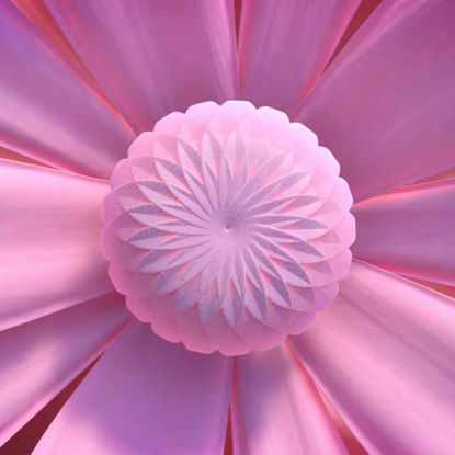 Elegant flower bloom logo