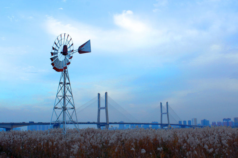 Windmill photo