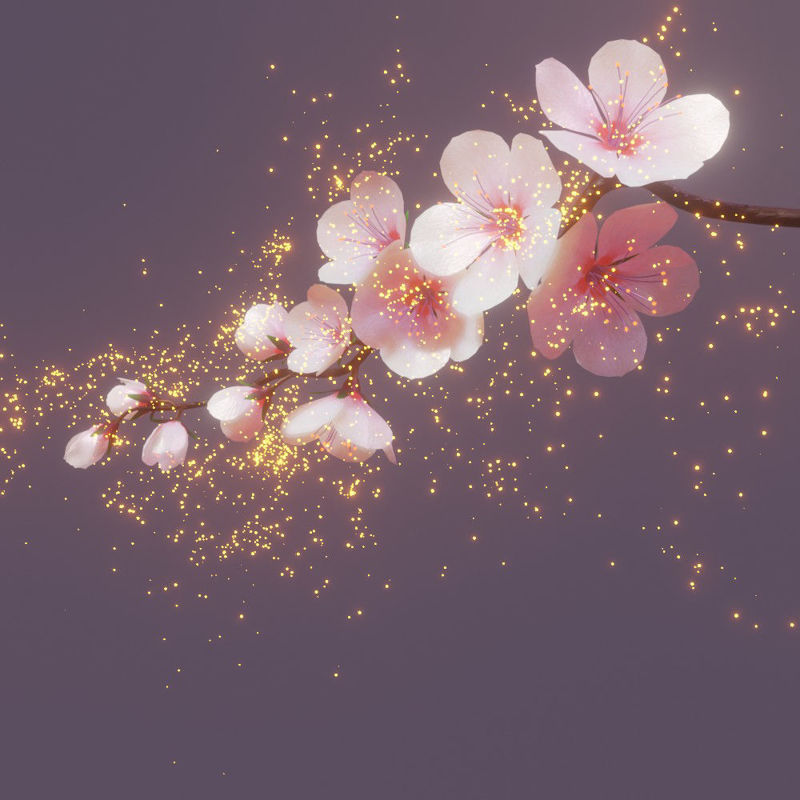 Cherry blossom branch 3d model and animation