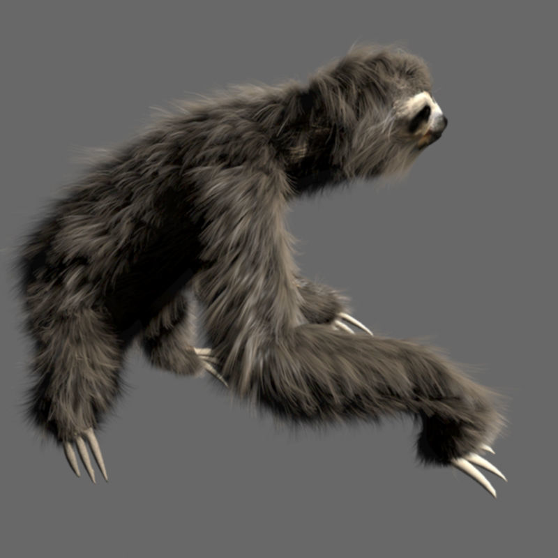 Sloth 3d model