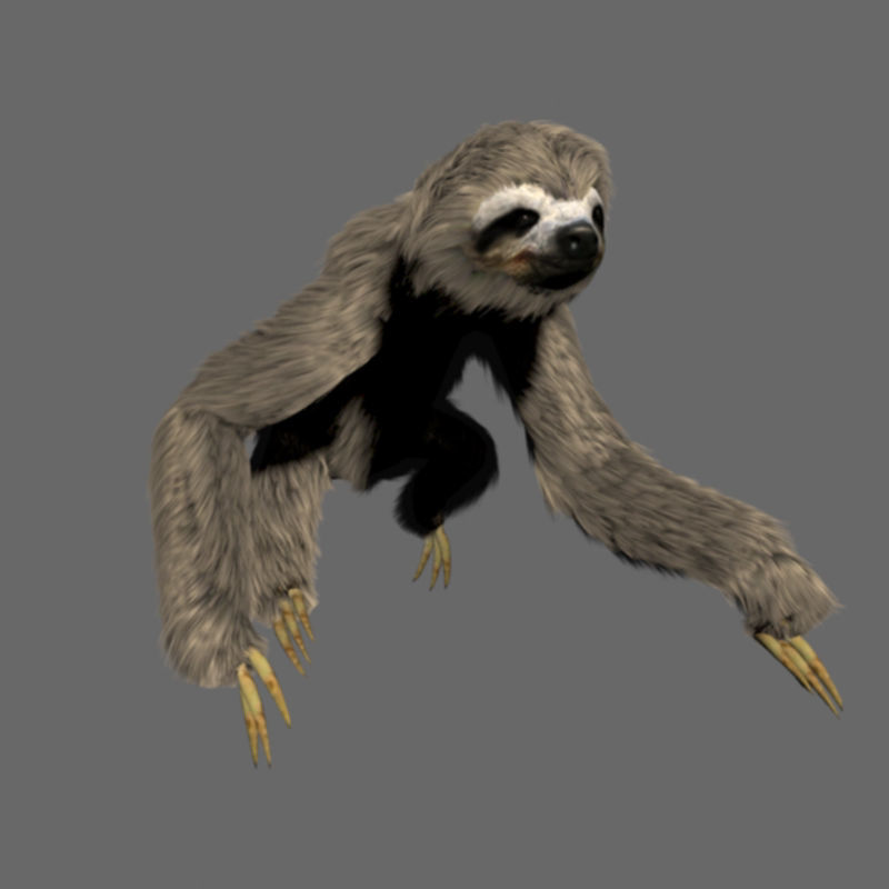 Sloth 3d model