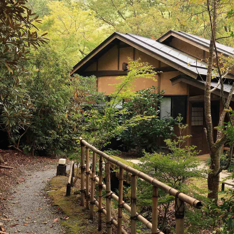 A cozy cabin in a Japanese forest