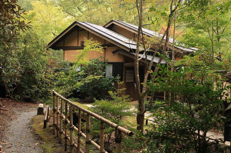 A cozy cabin in a Japanese forest