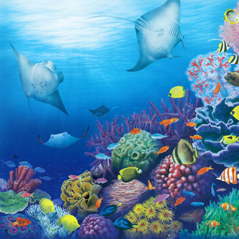 Coral reef  illustration