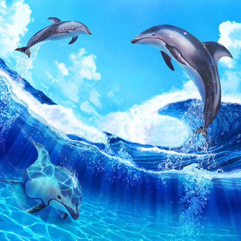 Дельфин 2 группа. Дельфины. Дельфины в море. Морские обитатели Дельфин. Дельфин в море.