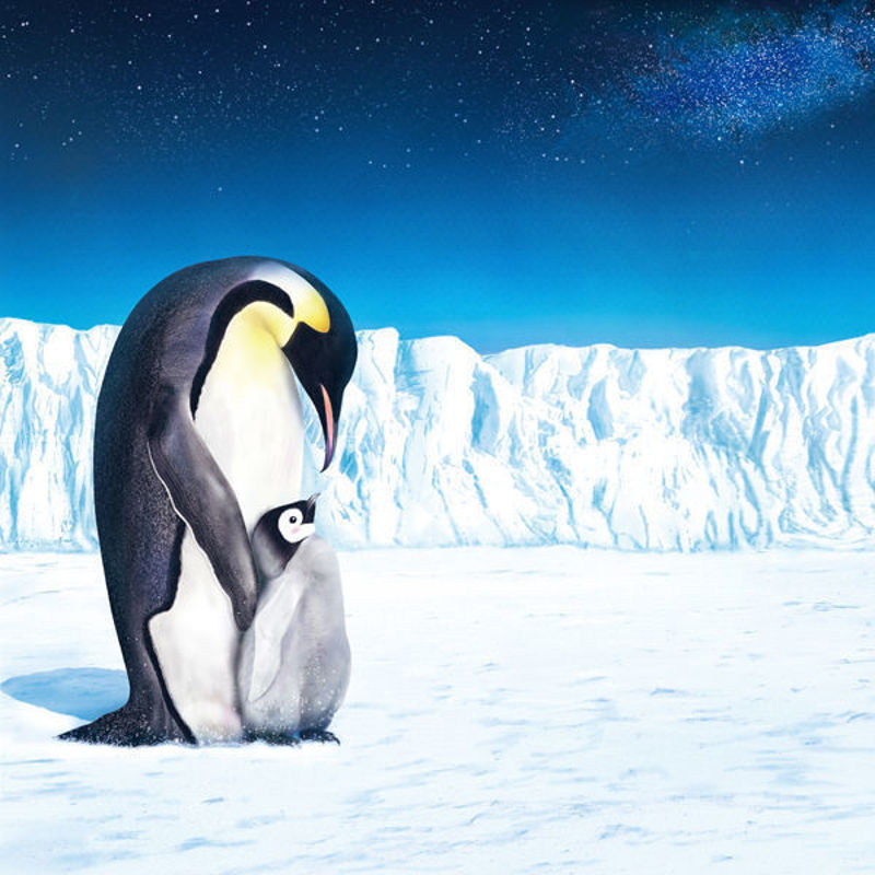 Emperor Penguin IV