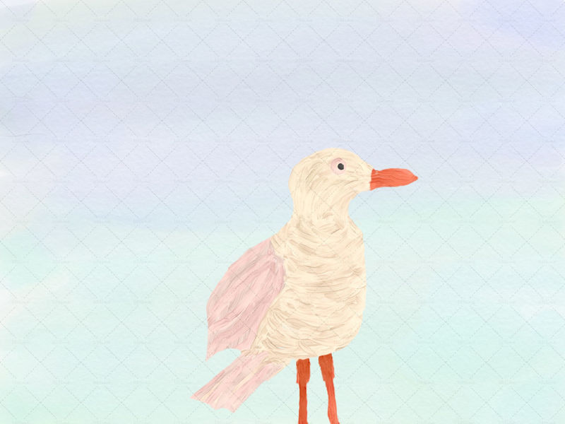 Sweet seagull painting