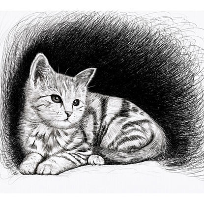 Ilustracija mačke