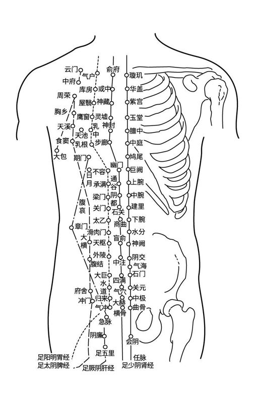 Chinese acupuncture vector elements