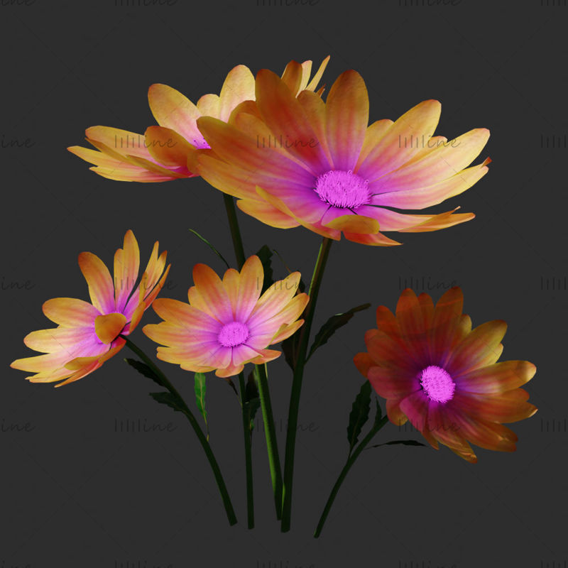 Daisy flower 3d model