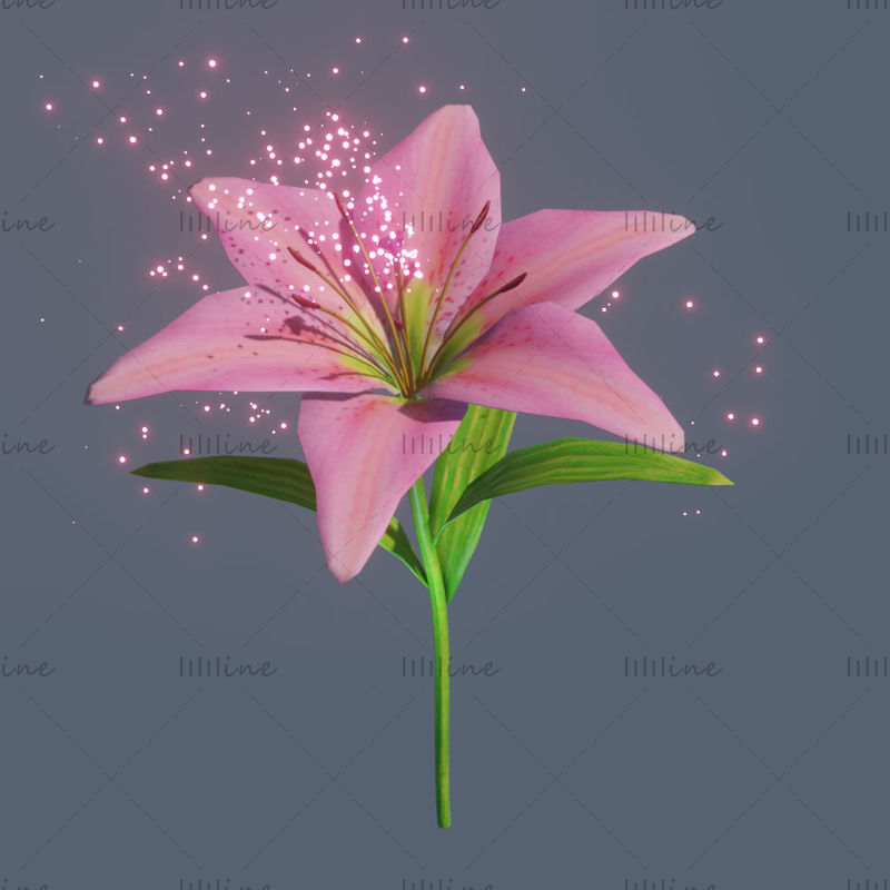 Lily flowers rigged animated 3d model