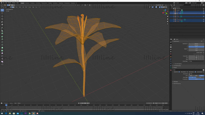 Lily flowers rigged animated 3d model