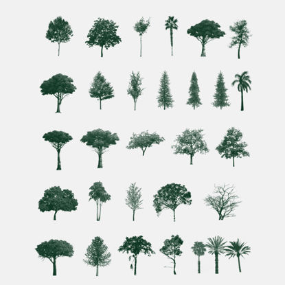 30 kinds of tropical rain forest trees, woods PS brushes