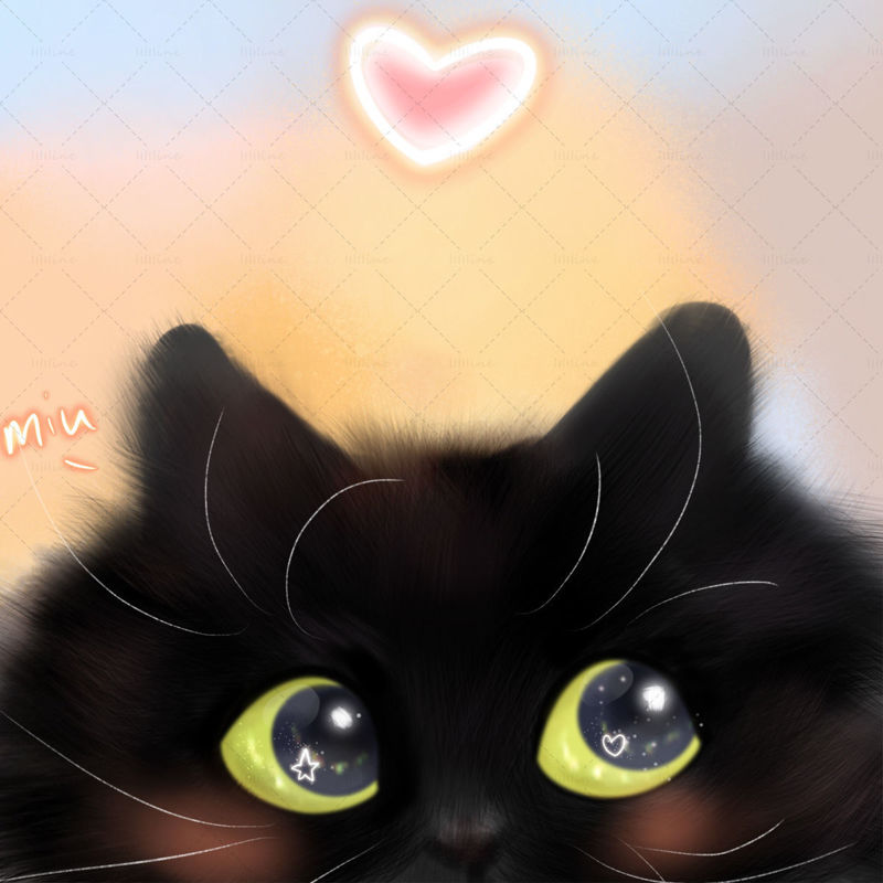 black cat Illustration