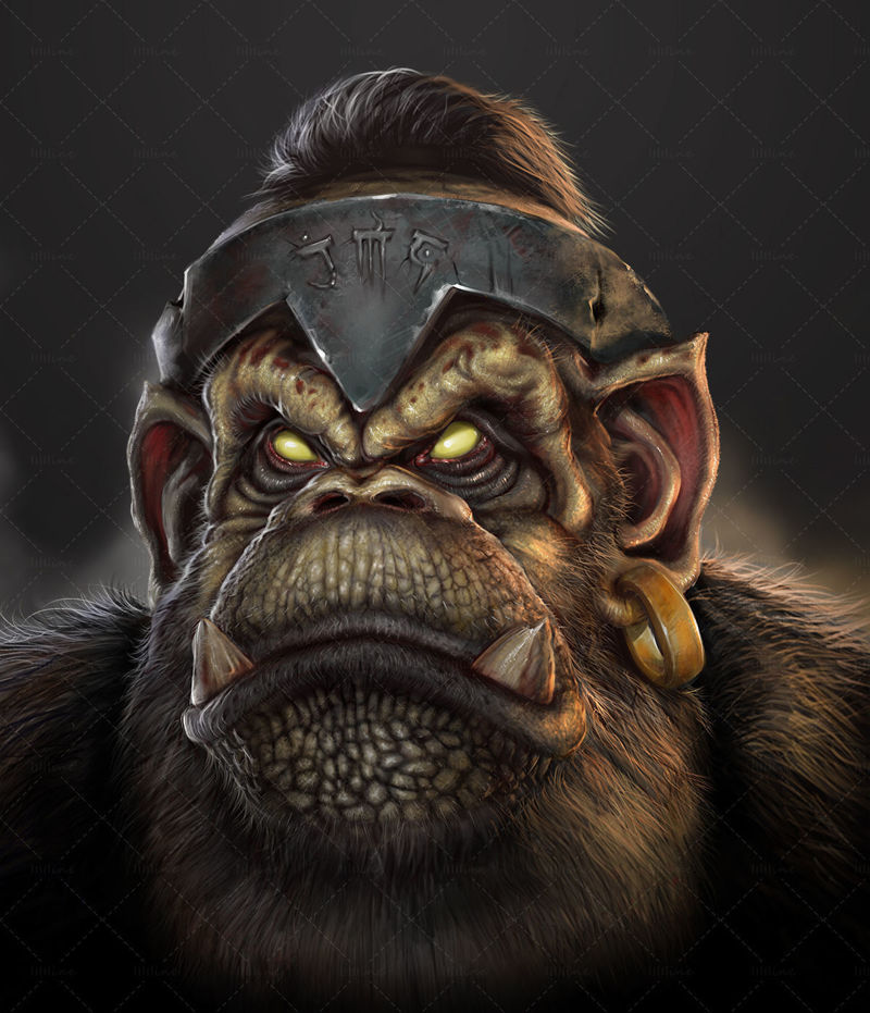 Monkey King  illustration