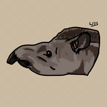 Lowland Tapir (Tapirus terrestris)