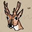 Pampas Deer (Ozotoceros bezoarticus)