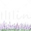 Lavender board painted hand drawn elements