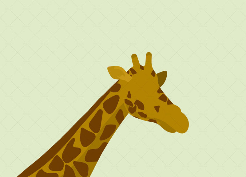 Giraffe Illustration